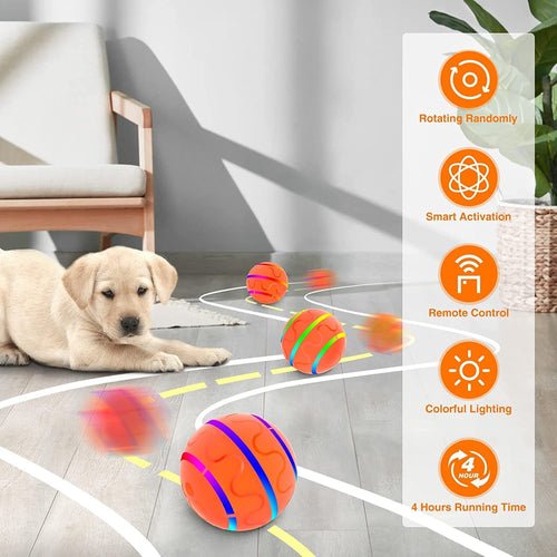 HAPPYPAWS - MOVEBALL